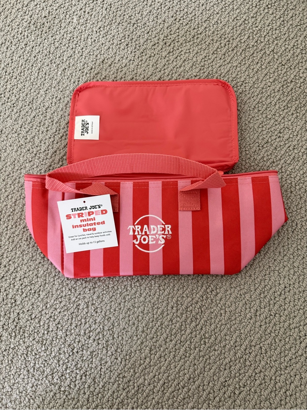 Trader Joe's Mini Insulated Tote Bag